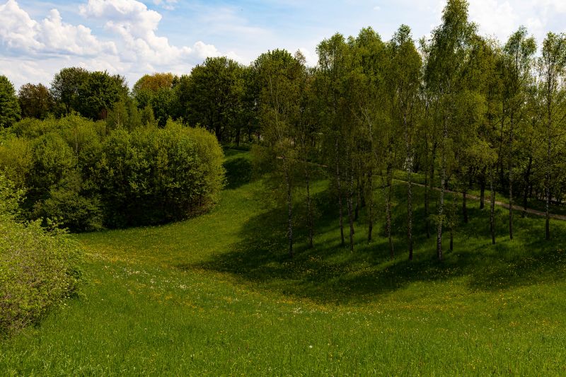 Grading And Clearing