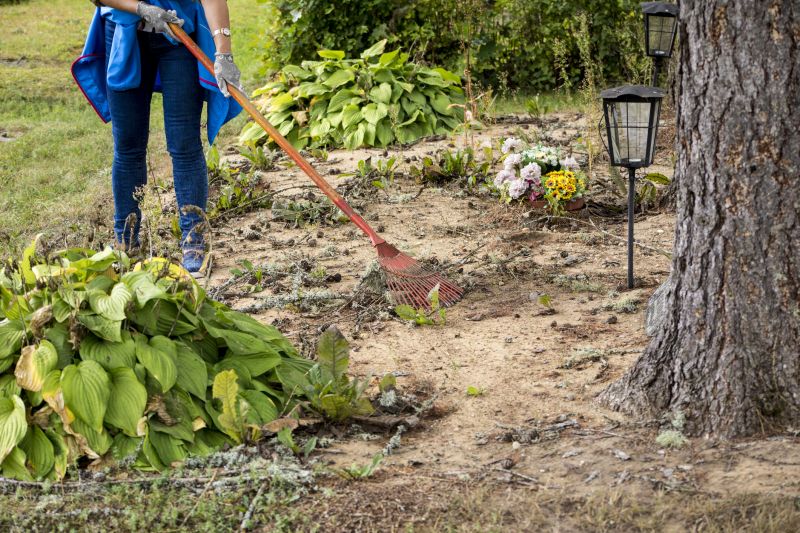 Grading And Clearing