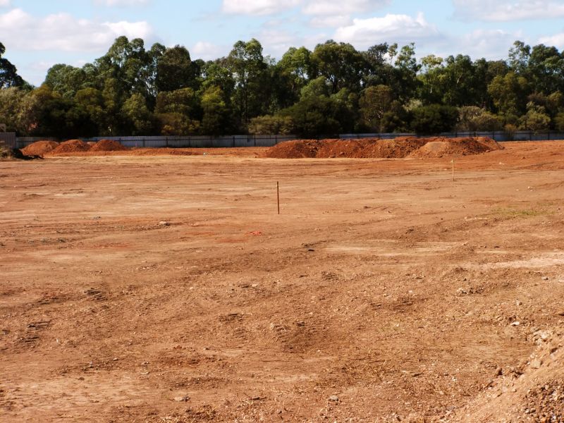 Grading And Clearing