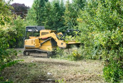 Land Clearing Experts